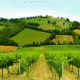 Piano di Sviluppo Rurale 2007-2013 Misura 114 – Regione Veneto